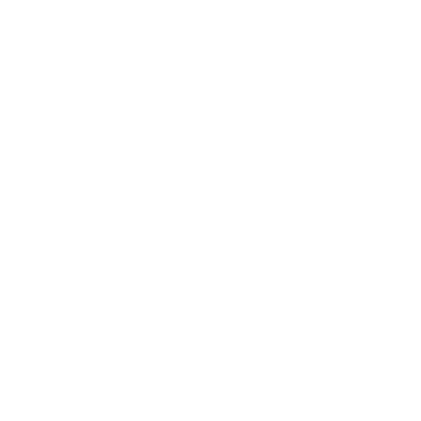 multi-modal transport